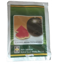 Watermelon Indam Patanegra 25 grams